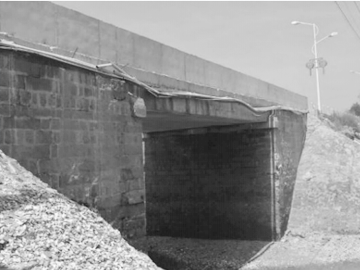 Carbon Fiber Composite Grid In Bridge Reinforcement